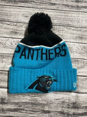 NFL Carolina Panthers Football Beanie Winter Cap Hat Fleece Lined Excellent Cond